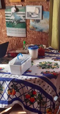 Finaliza proyecto «Que no nos paralice la Pandemia»